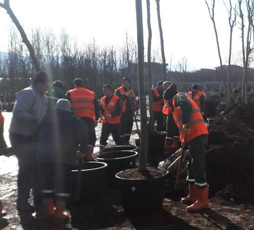 Kocaeli’yi denetimli serbestlik yükümlüleri ağaçlandıracak