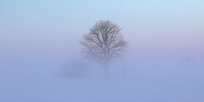 Meteoroloji’den Kocaeli İçin ”Sis ve Pus Var”