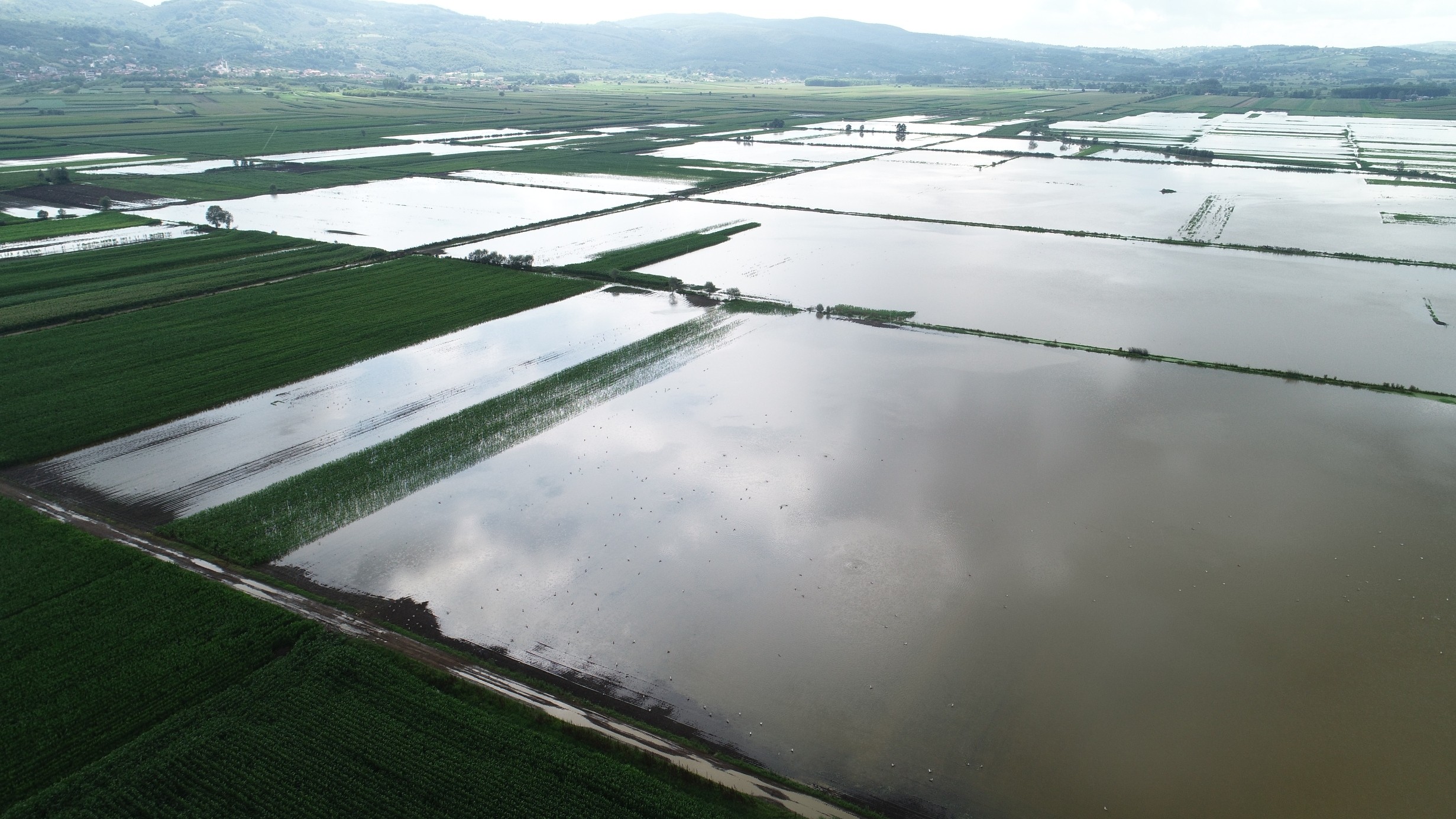 Sakarya’da 20 bin dekar tarım alanı sular altında kaldı