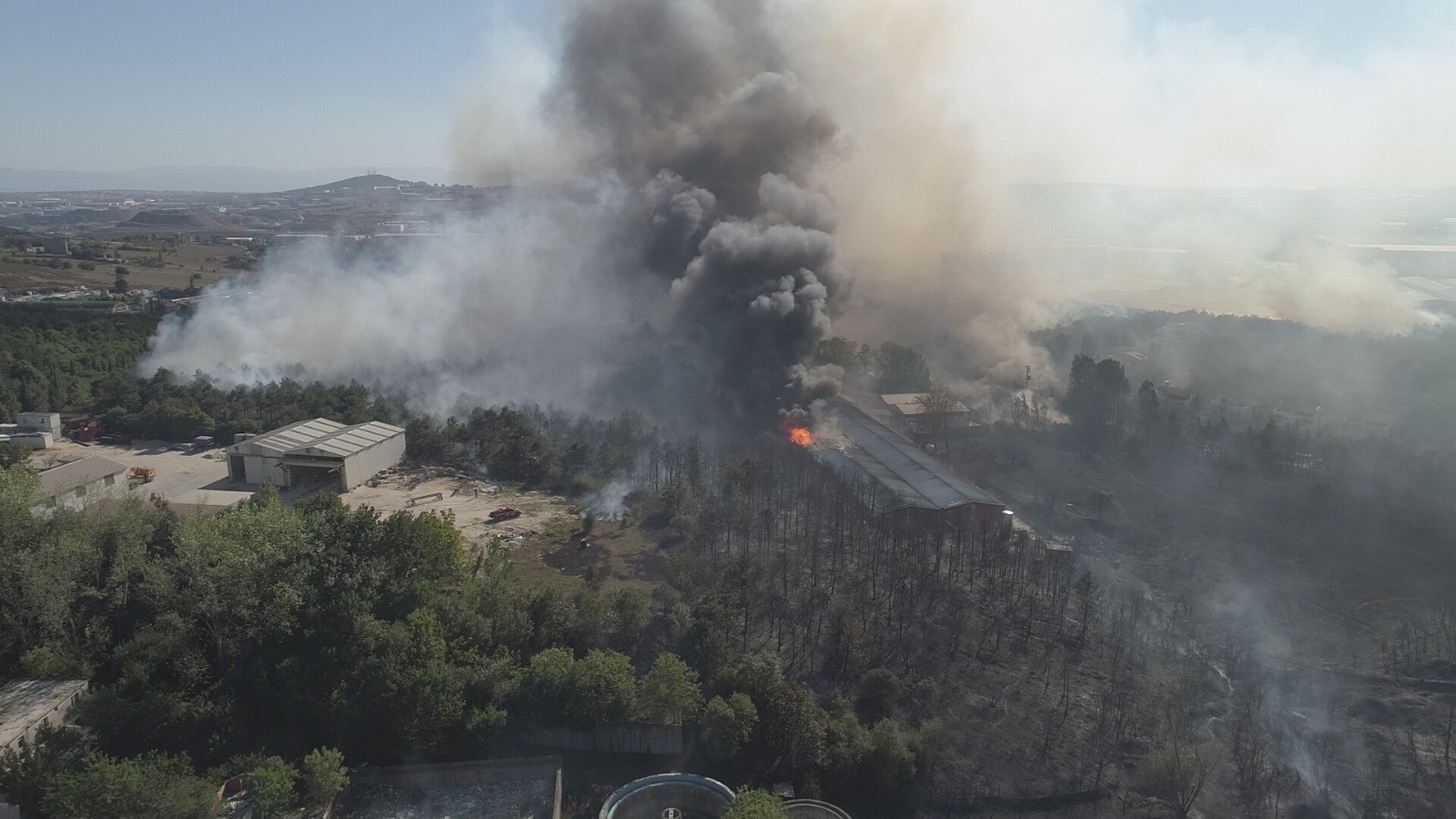 Gebze’de Fabrikaya Sıçrayan Yangında 30 Hektarlık Ormanlık Alan Zarar Gördü