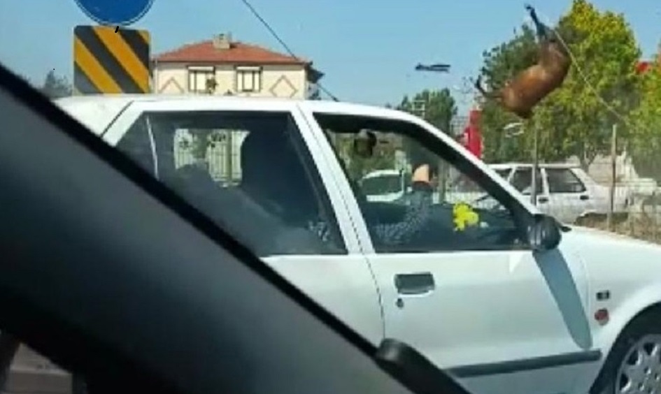 Yüzlerce kiloluk atlar kazanın etkisiyle böyle havaya uçtu