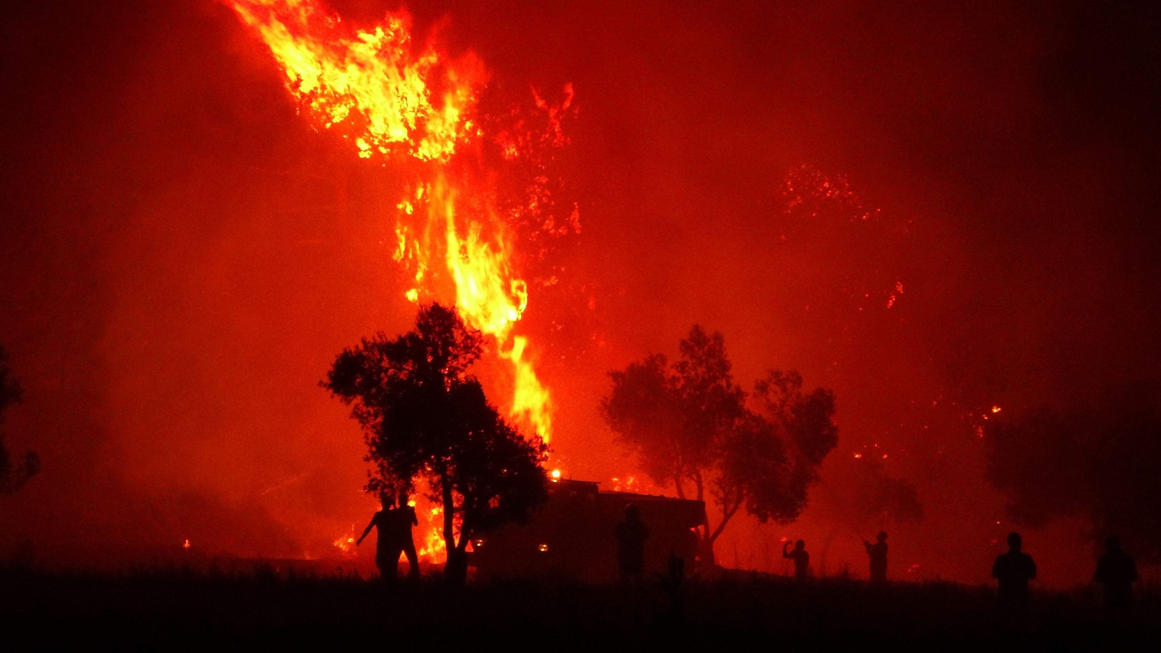Bir ayda 300 orman yangını çıktı…Uzmanlar uyardı
