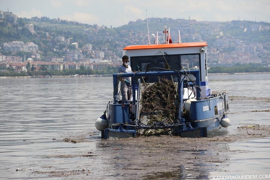 Kocaeli’de selin sürüklediği atıklar İzmit Körfezi’nde rekoru getirdi