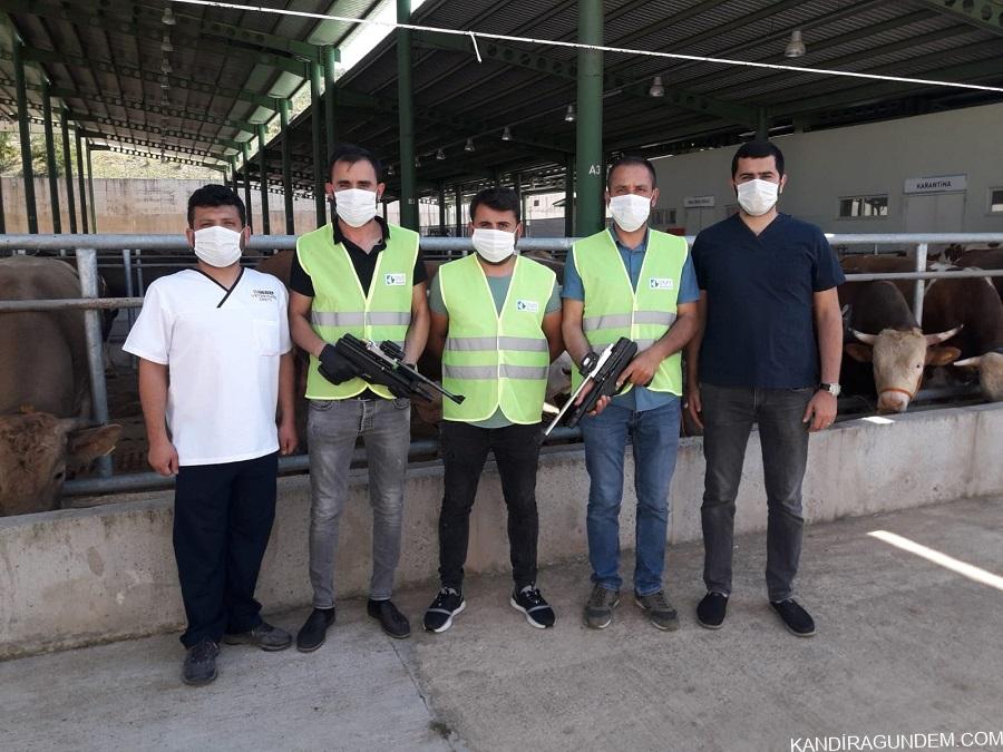 İzmit Belediyesinin Boğa Yakalama Timi bayrama hazır
