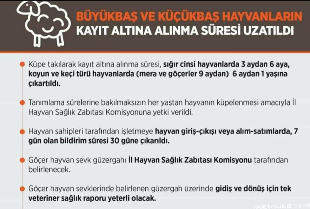 Büyükbaş ve Küçükbaş Hayvanların Kayıt Alma Süresi Uzatıldı