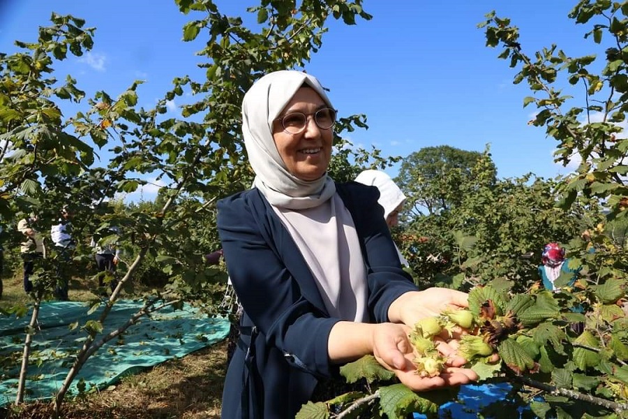 Radiye Sezer Katırcıoğlu,Kandıra’da Mevsimlik Tarım İşçileriyle Fındık Topladı