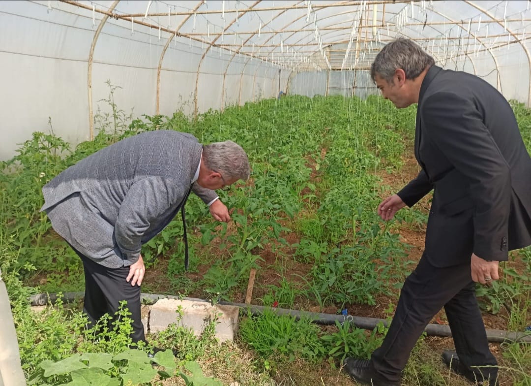 KANDIRA KAYMAKAMI ÖMER LÜTFİ YARAN ve KANDIRA TARIM VE ORMAN İLÇE MÜDÜRÜ ERCAN AYDIN ÜRETİCİLERİ YALNIZ BIRAKMIYOR